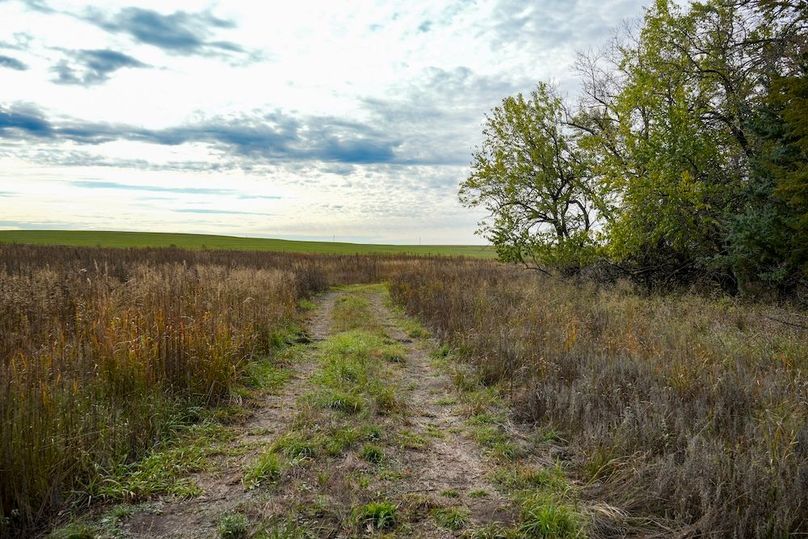 Dickinson Co, 154.5_063