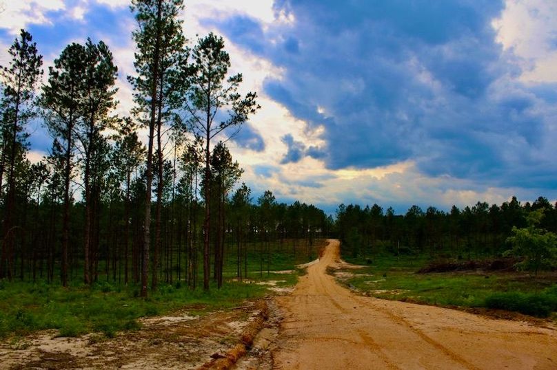 0712A6EE-6177-4D82-A0AA-A1FA5B756F5A_1_105_c