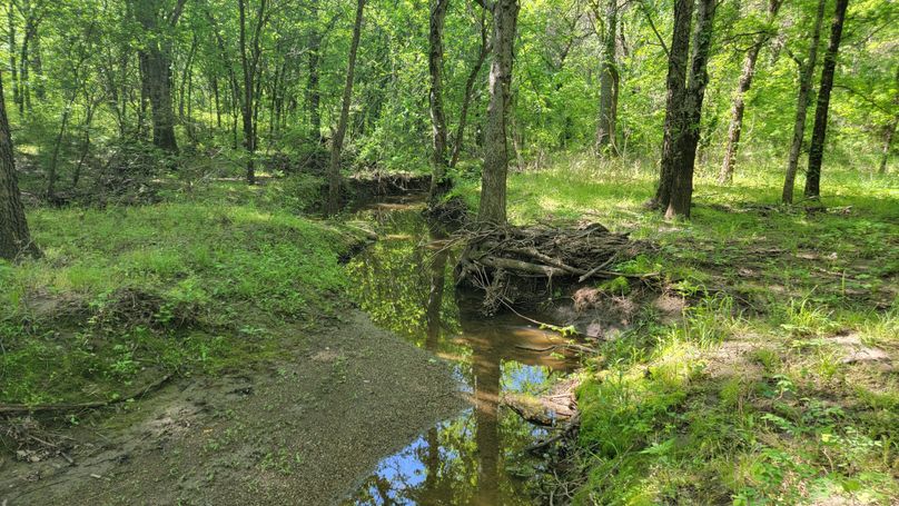 Okmulgee 7 Silman 300