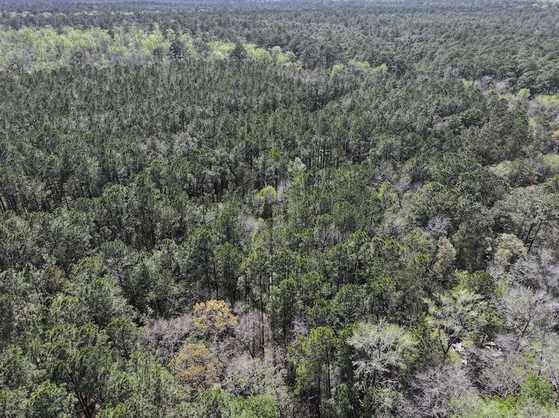 DJI_20260311122450_0511_D