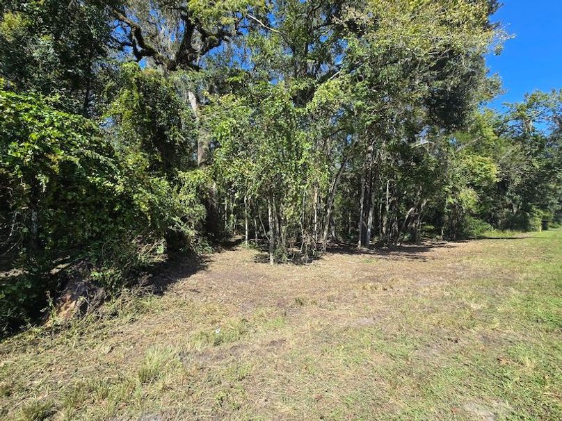 7.8ac, Citrus, Andrew Goering08