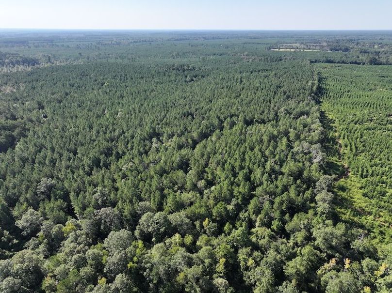 dji_fly_20250908_094252_0425_1757354100212_photo