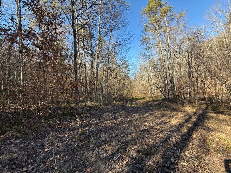 018 internal road_trail system leading into the northwest area of the property