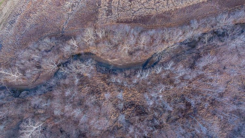 DJI_20260218075630_0004_D