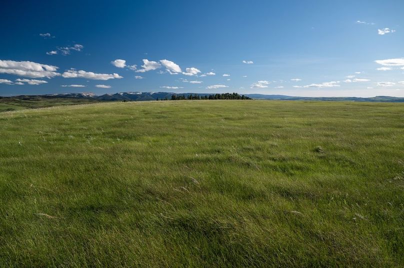 625D10E9-F887-4494-B3CC-A7AD3F1E2591