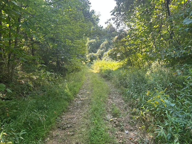 B0233EAD-F05A-432D-8D89-405A505D56F7_1_105_c