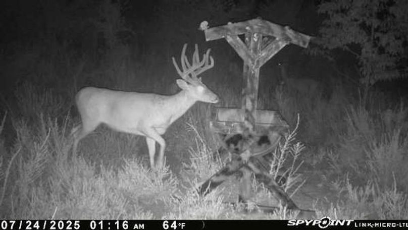 trail cam 6