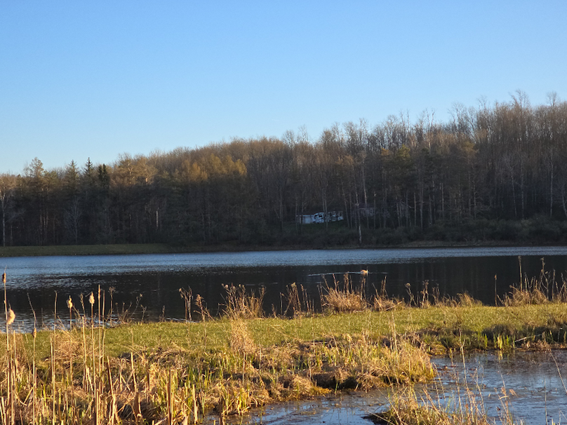 photo_4a878474-bb47-43be-abc5-4b9fef1ab93b