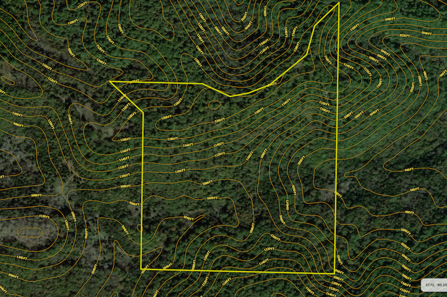 Screenshot 2024-07-12 at 12.59.37 PM