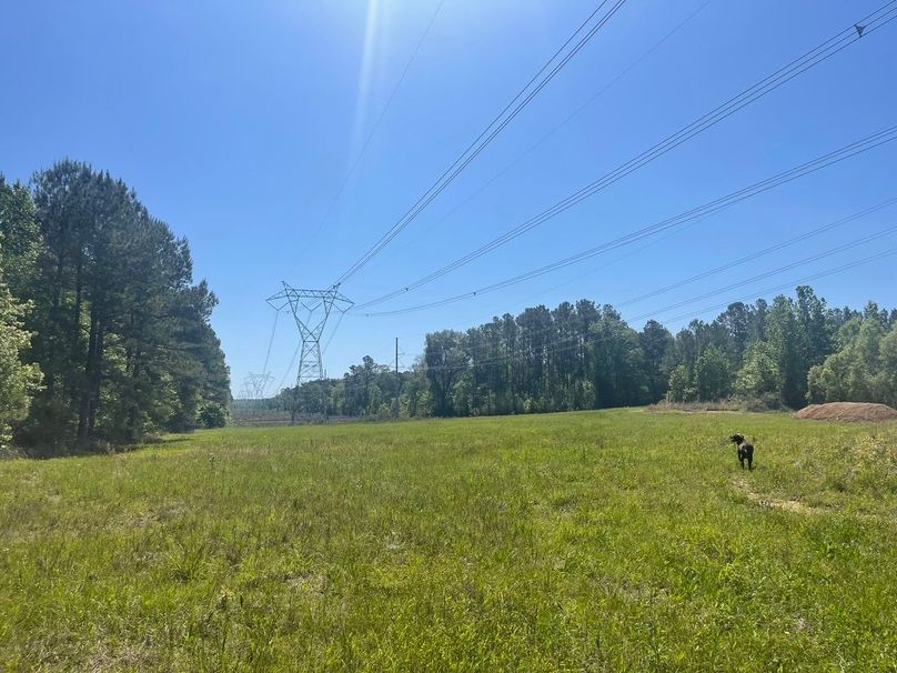 2AAF2353-D488-4F54-BC63-F9CF1676E4FE_1_105_c