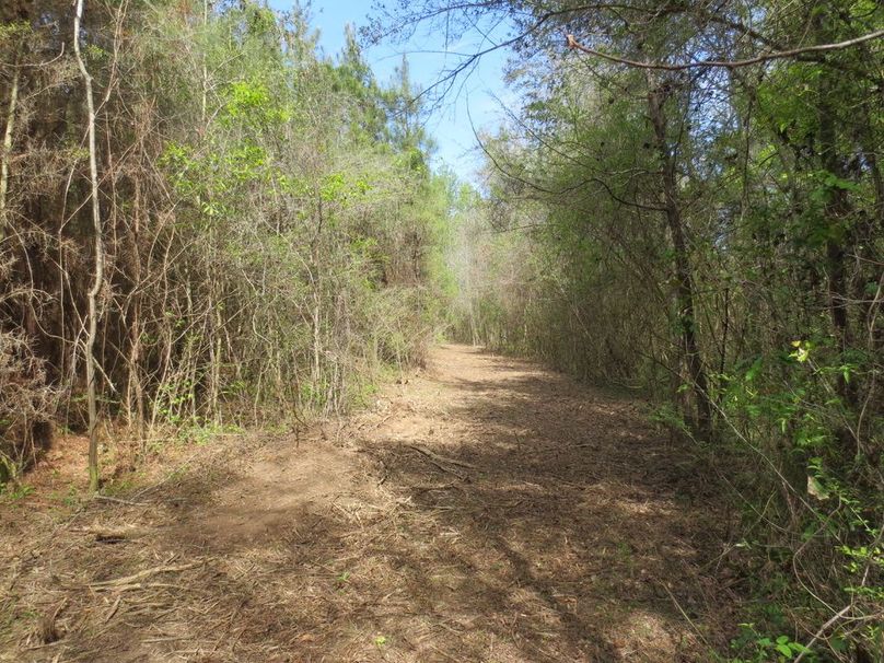 33F9430C-E7F9-4624-A895-0B65CE560458_1_105_c