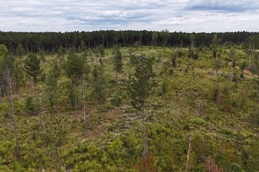 DJI_20240930042038_0130_D