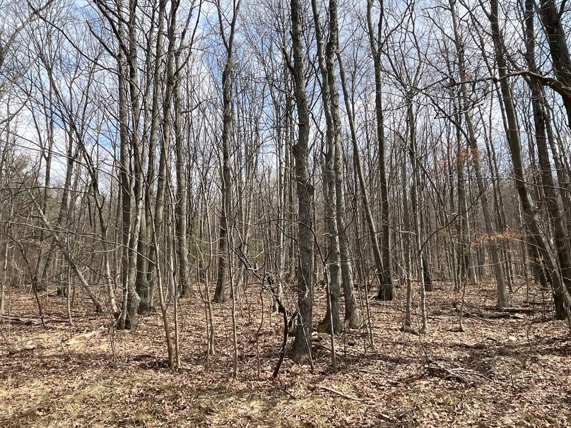 Schuyler_15.44_Bringhurst photo 3