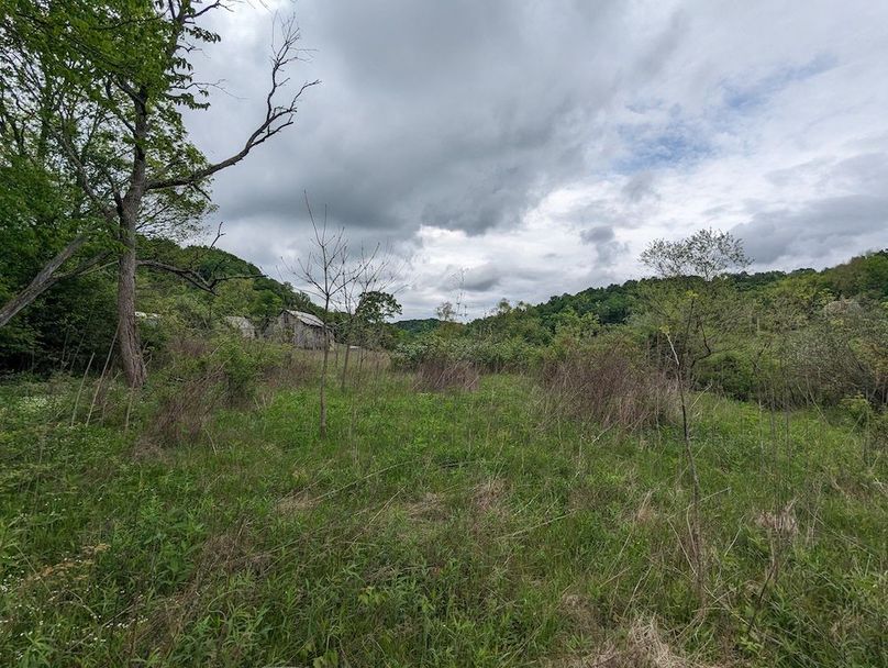 PXL_20240515_154428432