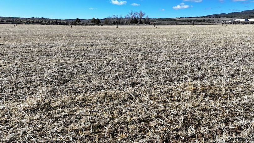 Panguitch City Farm19