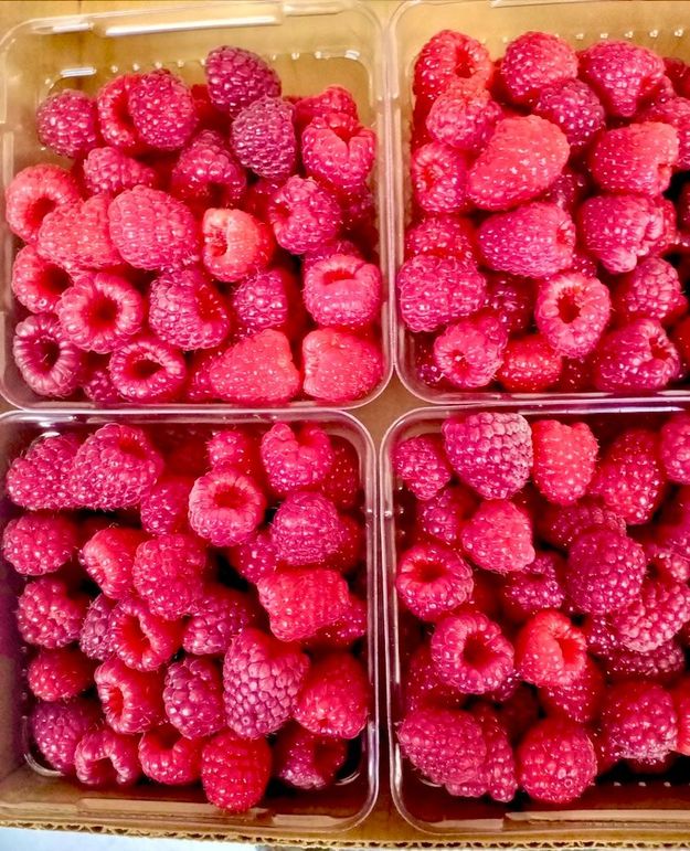 Raspberries1