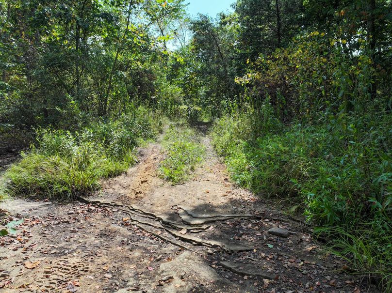 DJI_20250904125004_0598_D