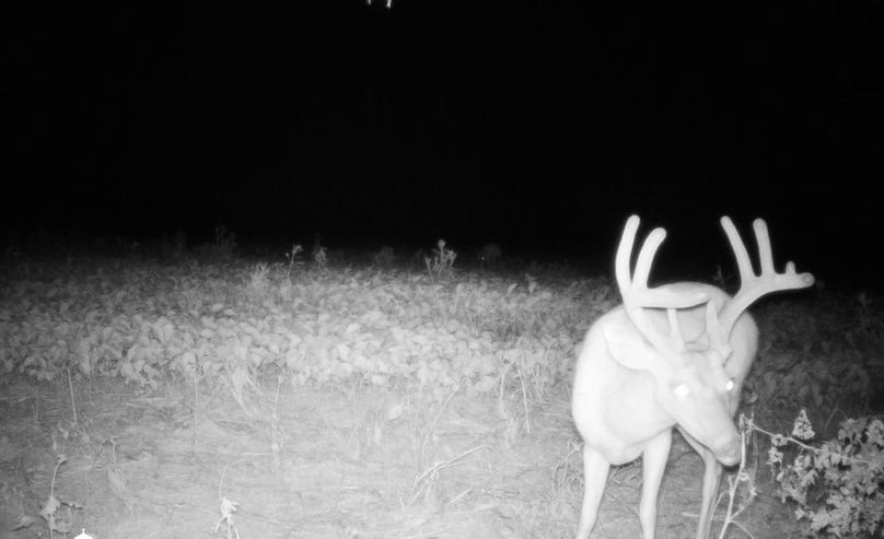 Copy of IMG_3216 Large