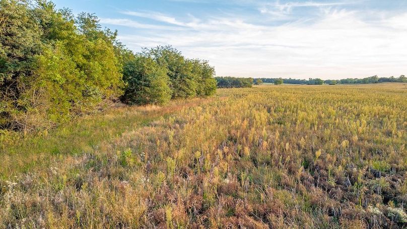 Copy of Copy of TRACT 2-26