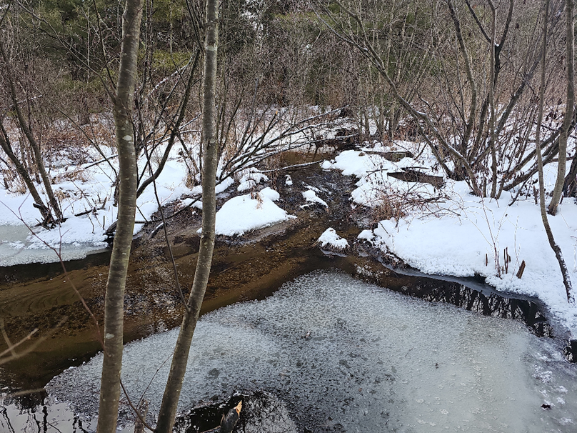 photo_ca914541-f4ca-40e1-8be3-4201c7ef10a6