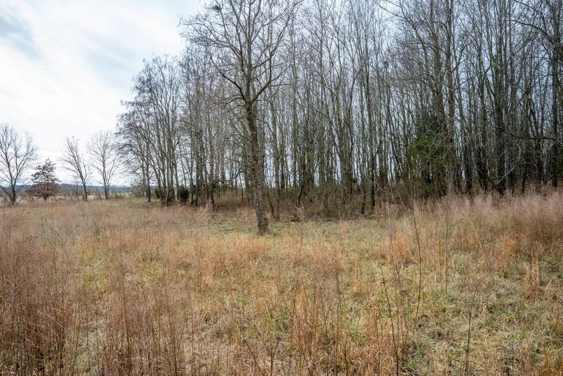 Copy of DSC00716 Large