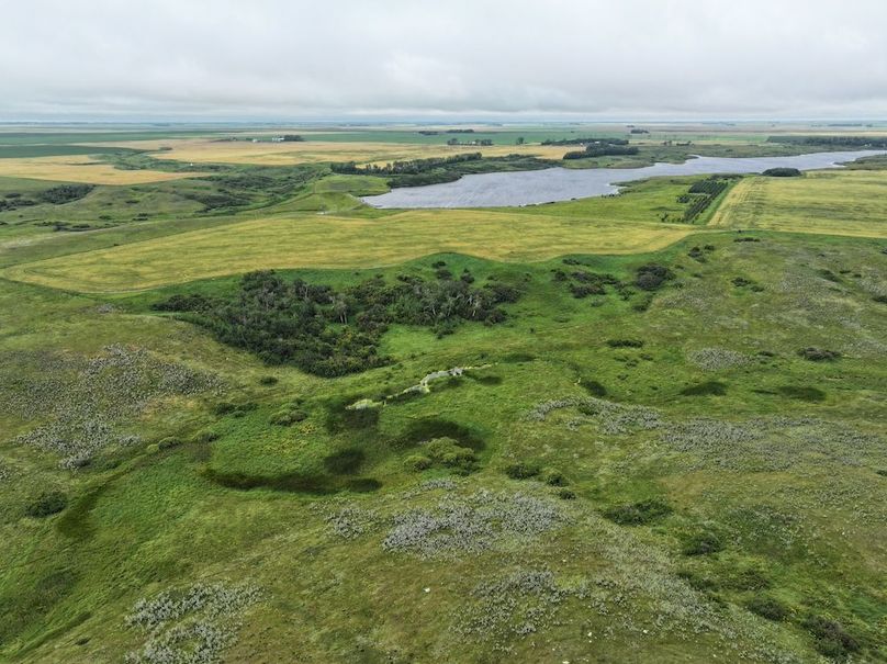 Copy of DJI_20250704140957_0621_D