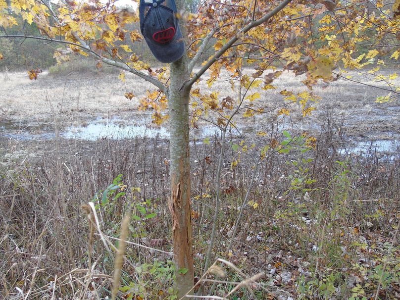 concrete blind in the background 2020