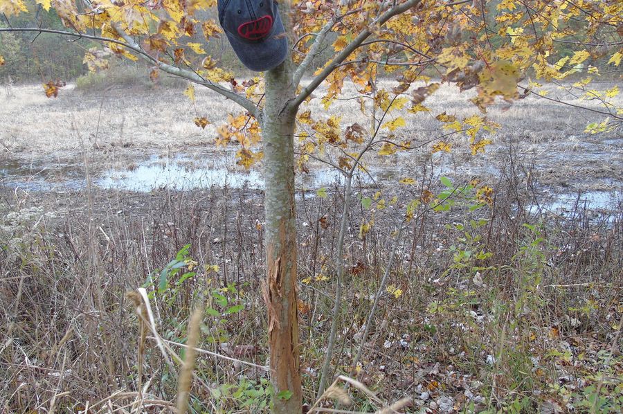 concrete blind in the background 2020