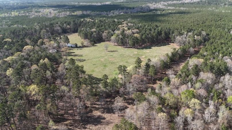 dji_fly_20260305_050444_0090_1772672661708_photo