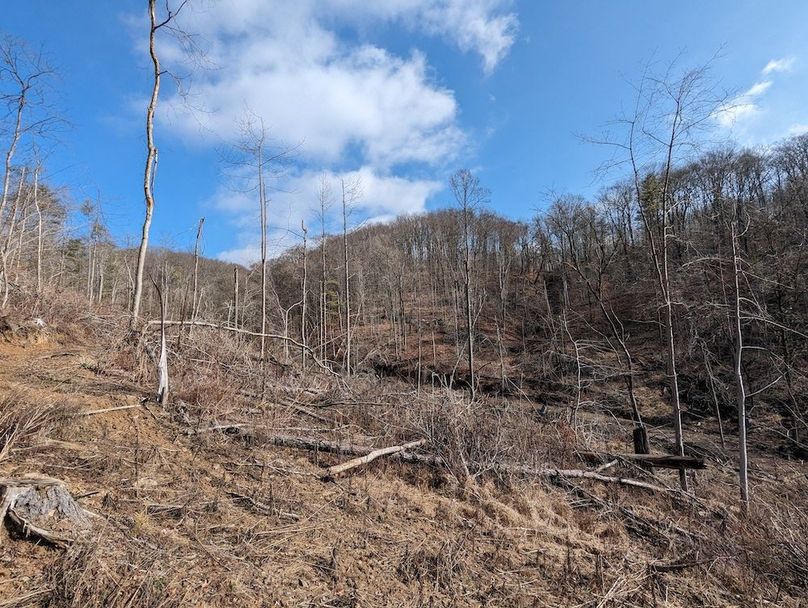 PXL_20240223_155609488