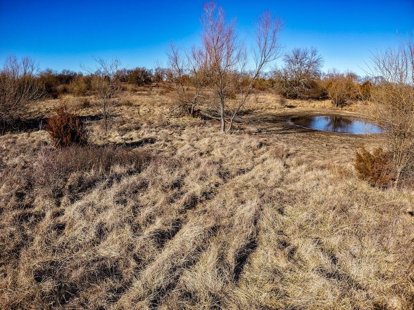 DJI_20260119145941_0860_D