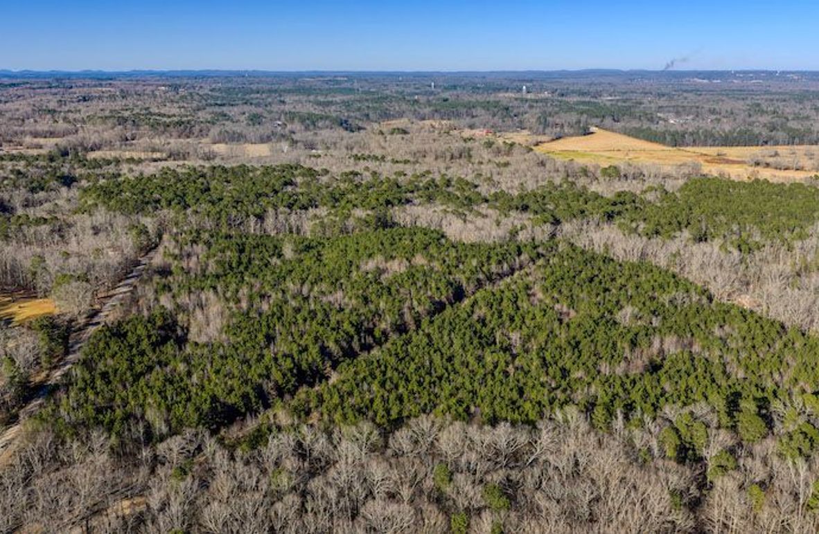 DJI_20251231151612_0550_D-HDR