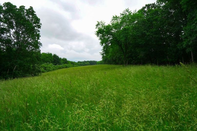 Bedford,121,Beegle-32