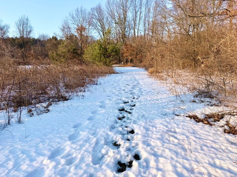 24 3rd field looking north behind 360 blind