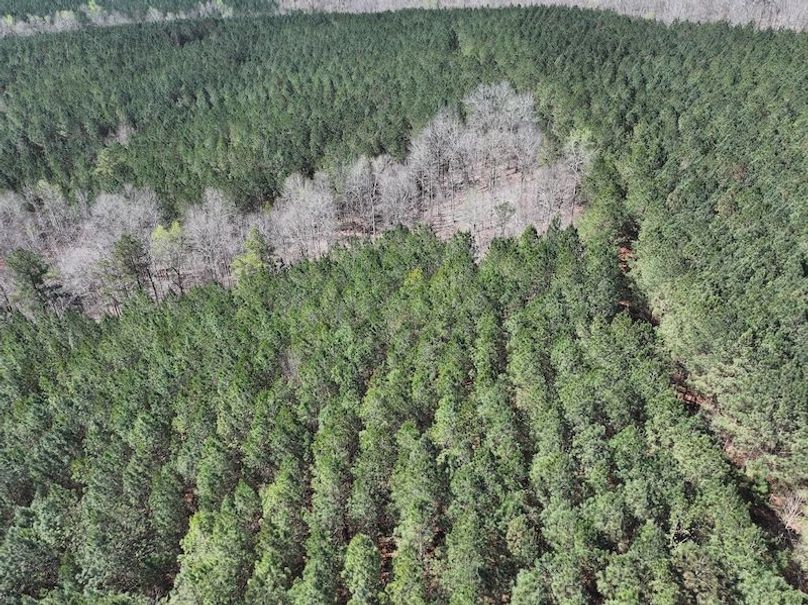 010AE - 257 Acres - Drone-14