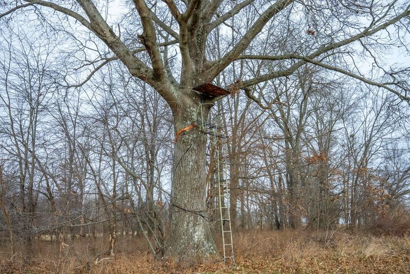 Copy of DSC00719 Large