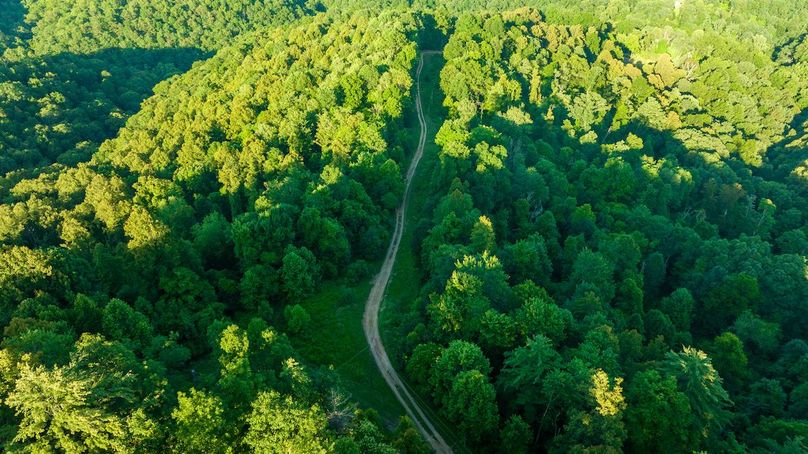 Wetzel WV 171 Featured_Pro Photo-73