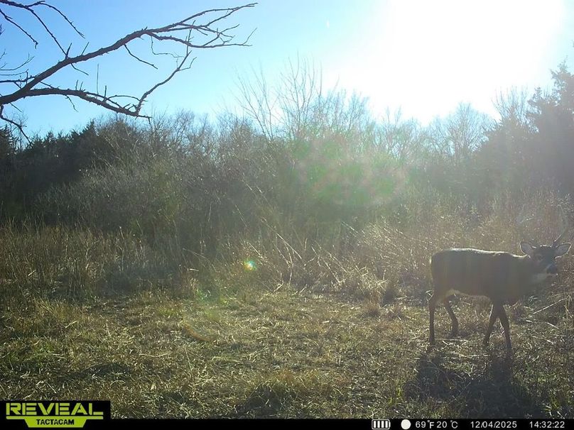 860322065515287-100-4-12042025162740-HD-SYEW2676