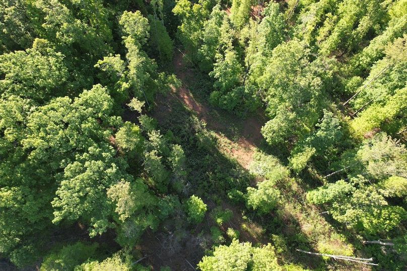 DJI_0463
