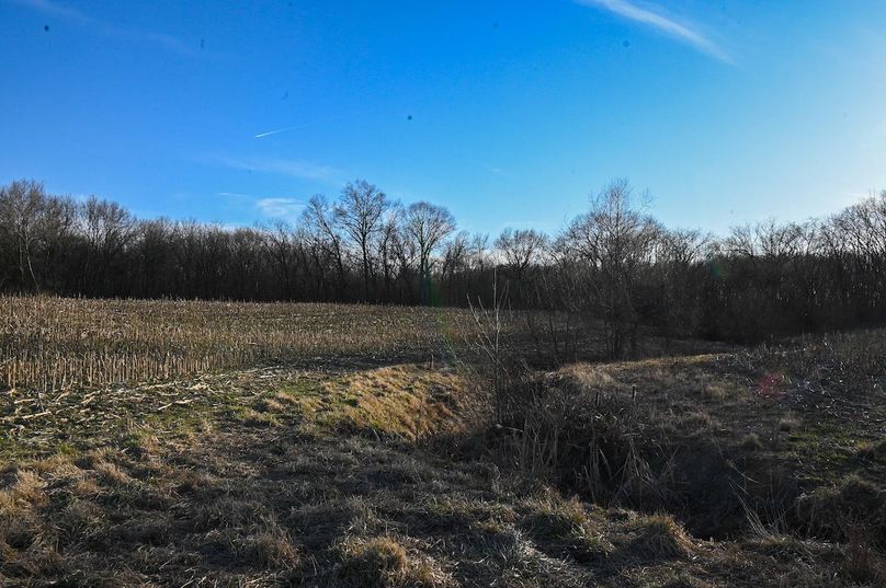 vandalia 450 (2)-2192