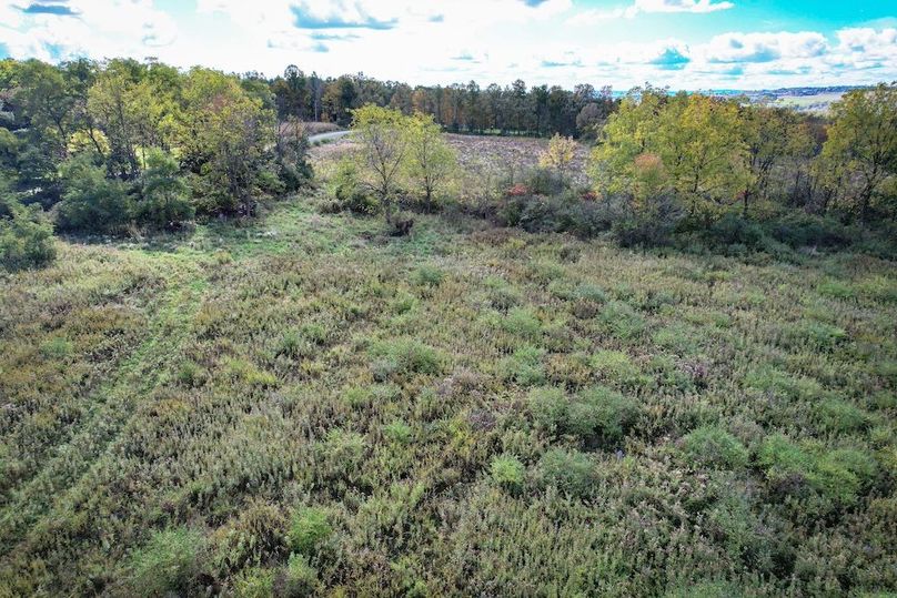 Tompkins_30.32_Hildreth_Estate_Phoros_41