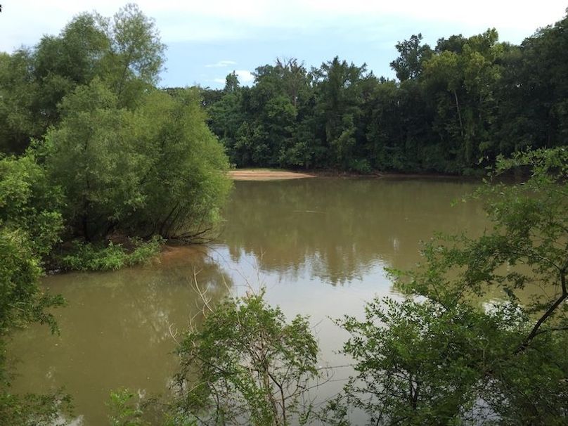 z41- Ocmulgee River