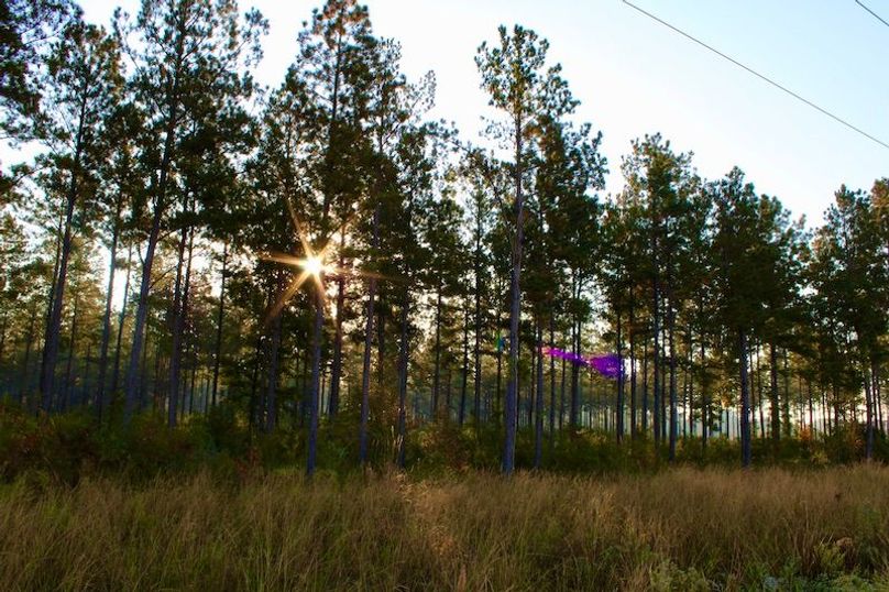 A0CBB20F-805C-4E83-AE5D-9FD20AEDF100_1_201_a