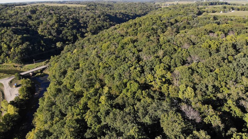 Grant 110 - 15 of 47