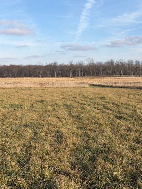 CDE44E20-AC3F-41EB-90DA-809E4638F0A6_1_105_c-2