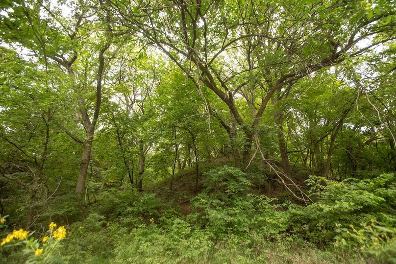 FREMONT CO IA 159.05_68