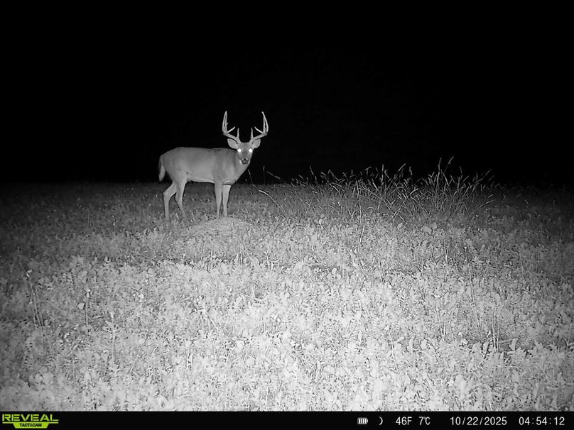 864049058814197-100-4-10222025173908-HD-SYFW0012