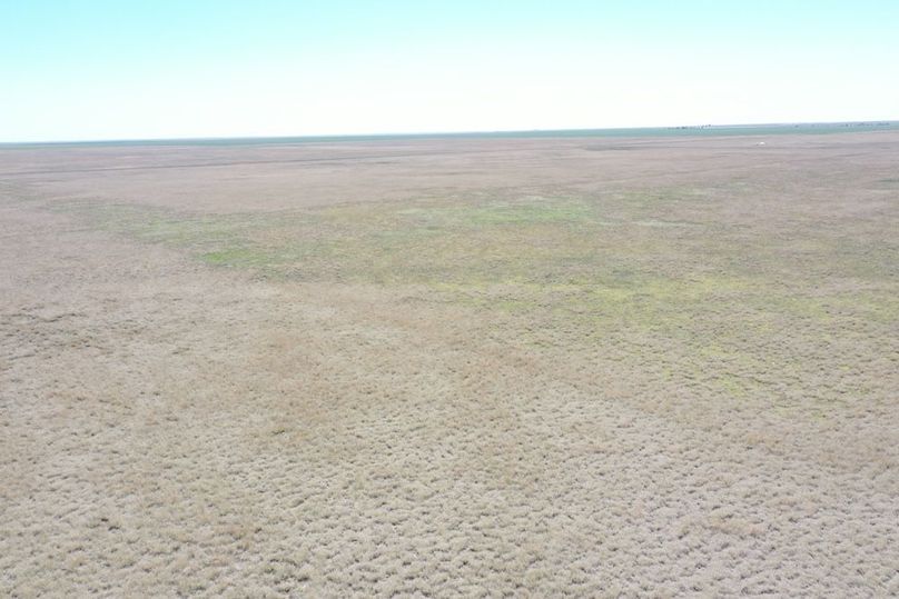 DJI_0678