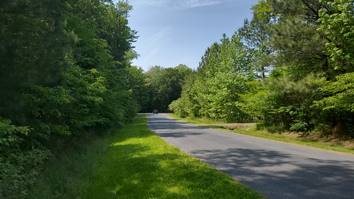 Stunning Wooded CulDeSac Homesite With Improved Hunting Habitat