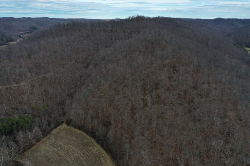 013 aerial drone shot from the center of the property looking up the east valley